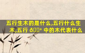 五行生木的是什么,五行什么生木,五行 💮 中的木代表什么